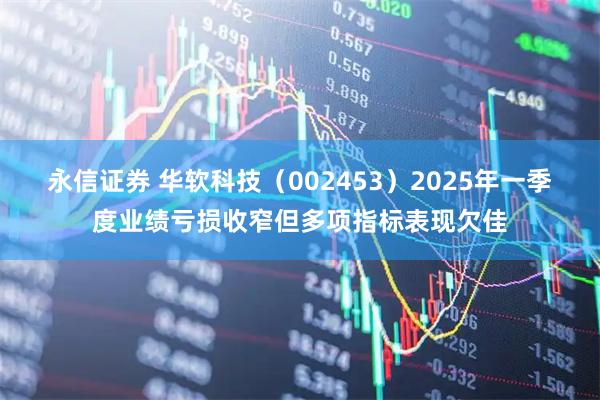 永信证券 华软科技（002453）2025年一季度业绩亏损收窄但多项指标表现欠佳