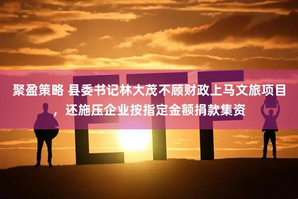 聚盈策略 县委书记林大茂不顾财政上马文旅项目，还施压企业按指定金额捐款集资