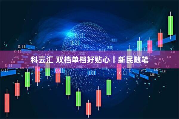 科云汇 双档单档好贴心丨新民随笔