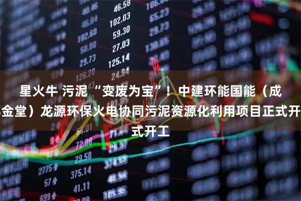 星火牛 污泥 “变废为宝”！中建环能国能（成都金堂）龙源环保火电协同污泥资源化利用项目正式开工